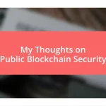 My Thoughts on Public Blockchain Security